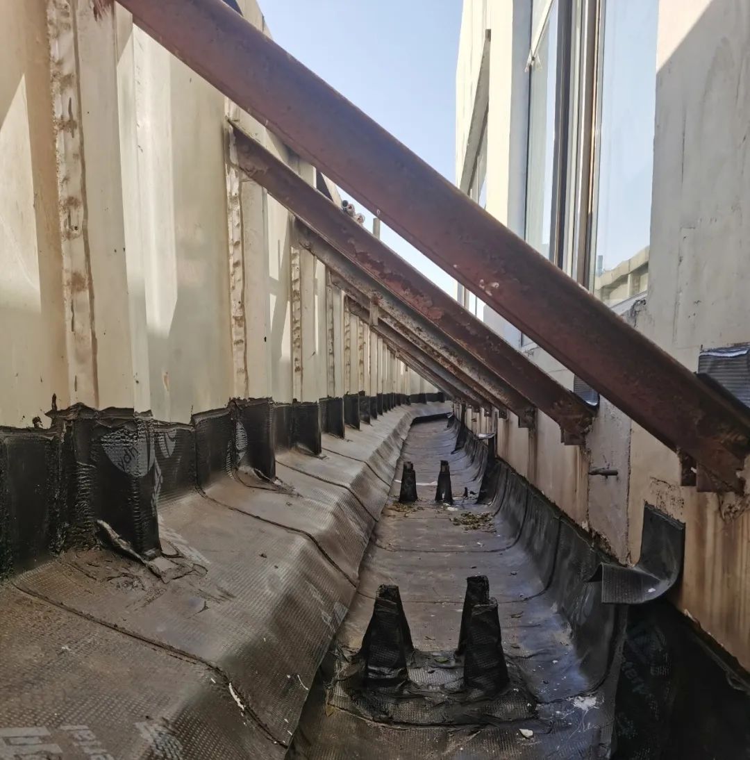 1670890087726077.jpg 1670890087726077.jpg