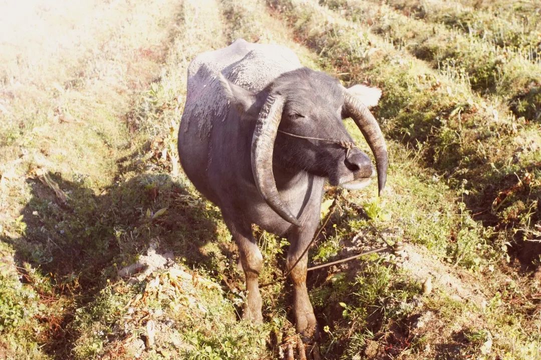 1671750640928592.jpg 1671750640928592.jpg